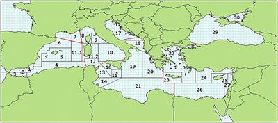 Length-Weight Relationship of 60 Fish Species From the Eastern Mediterranean Sea, Egypt (GFCM-GSA 26)